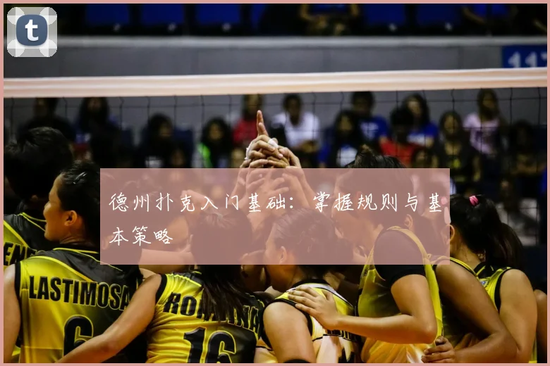 德州扑克入门基础:掌握规则与基本策略