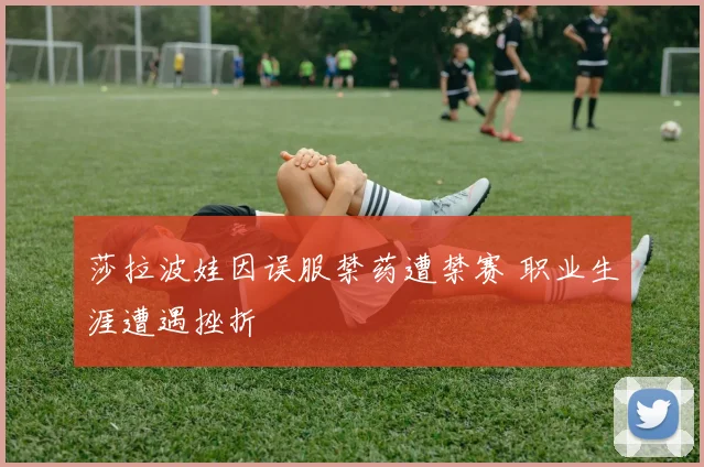 莎拉波娃因误服禁药遭禁赛 职业生涯遭遇挫折